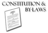 const and bylaws